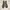 Von Dutch Y2K Canvas Sneakers Original photo 5