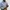 JAKET COTOPAXI CEILO RAIN JACKET GORPCORE HOODED photo 4