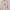 Pull And Bear Pl