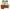 Adidas Superstar Papua || Beige photo 5