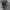 y2k Studed Cadethat Buterfly Faded photo 3