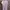 Kids 90 photo 2
