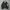 Coach jacket 4xr photo 2