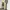 2000’s Wide Leg Longpants Beige Made In Korea