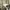 StudioCLIP wideleg baggy pants khaki photo 6