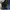 Crumpler The Private Zoo Backpack Original photo 7