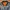 THE ROTHCO MA-1 FLIGHT CLASSIC ARMY MILITARY STYLE ORANGE PO photo 2