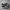 Nike Casual Sneakers Pria white black photo 1