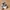 HARLEY DAVIDSON Military Cap . ( Vanson, Von Dutch ) photo 2