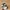 HARLEY DAVIDSON Military Cap . ( Vanson, Von Dutch )