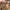 Carhartt Sportswear Casual Hoody Pria Brown