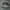 Nike Sportswear Casual Sneakers Pria white black photo 2