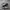 Nike Sportswear Casual Sneakers Pria white black photo 4