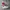 Nike Futurist Casual Sneakers Pria white red photo 2