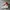 Nike Futurist Casual Sneakers Pria white red photo 1