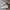 Nike Futurist Casual Sneakers Pria White Red