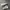 Nike Futurist Casual Sneakers Pria white red photo 3