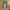 Bershka Streetwear Jeans Pria green photo 1