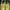 Sepatu Hoka trail Runner outdoor photo 3