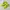 Nike Streetwear Casual Sneakers Pria green photo 4