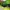 Nike Streetwear Casual Sneakers Pria green photo 6