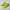 Nike Streetwear Casual Sneakers Pria green photo 3