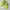 Nike Streetwear Casual Sneakers Pria green photo 1