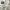 Uniqlo Minimalist Casual Hoody Pria white photo 3