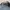 bomber jacket polo ralpah lauren photo 4