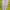 Vaude Gallery Air 30+5 Walking/Hiking Backpack Original 

- photo 8