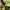 Vaude Gallery Air 30+5 Walking/Hiking Backpack Original 

- photo 6