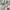 Adidas Minimalist Casual Hoody Pria gray photo 3