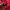 Nike Casual Hoody Pria red photo 4