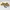 [Termurah] Sneakers - Hoka Mafate Three2 Golden Yellow photo 5