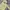 Abercrombie & Fitch Streetwear Jumper Pria yellow photo 1