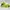 [Termurah] Sneakers - Adidas Adizero Adios Pro5 Green Stabil photo 4