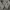 Minimalist Casual Harrington jacket Pria gray photo 4