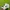 Topi Hats Cap Puma x BMW White New photo 5