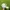Topi Hats Cap Puma x BMW White New photo 2
