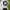 Topi Hats Cap Puma x BMW White New photo 7