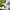 Topi Hats Cap Puma x BMW White New photo 6