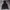 Blackyak Gorpcore Track jacket Pria black photo 4