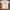 Vintage Baby milo a bathing ape t-shirt photo 2