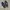 Adidas spezial x shukyu x e-wax not Fred Perry, stone island photo 6