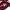 8seconds Grunge Casual Sweatshirt Pria burgundy cream photo 5