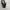 Coach Vintage Y2K Shoulder bag Wanita black photo 4