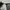 Rayban Clubmaster Sunglasses  photo 5