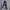 Spao Minimalist Casual Sweater Pria navy gray photo 3