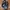 Converse one star 95 black white photo 2