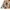 Vintage Y2K Skirt Wanita tan brown photo 4